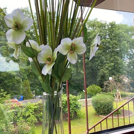 Ferienwohnung Nava Auf Der Kauzenburg Бад Кройцнах Екстериор снимка
